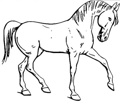 Dressur Pferd Malvorlage Anmutiges Pferd Ausmalbild