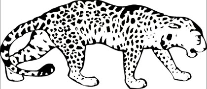 Leopard Malvorlage