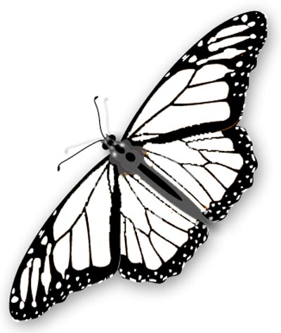 Schmetterling Ausmalbild