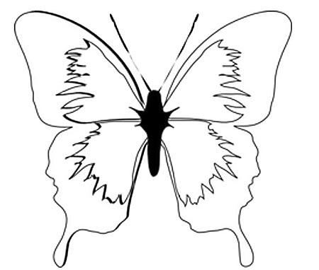 Vorlage schner Schmetterling