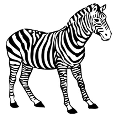 Zebra Malvorlage